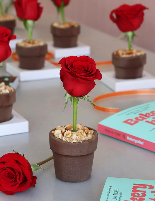 Rosa de Sant Jordi