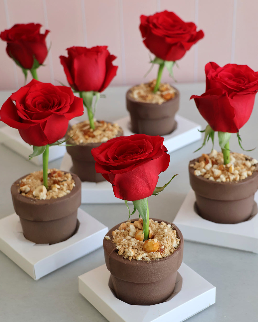 Rosa de Sant Jordi